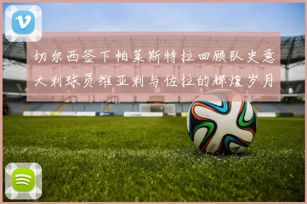 切尔西签下帕莱斯特拉回顾队史意大利球员维亚利与佐拉的辉煌岁月